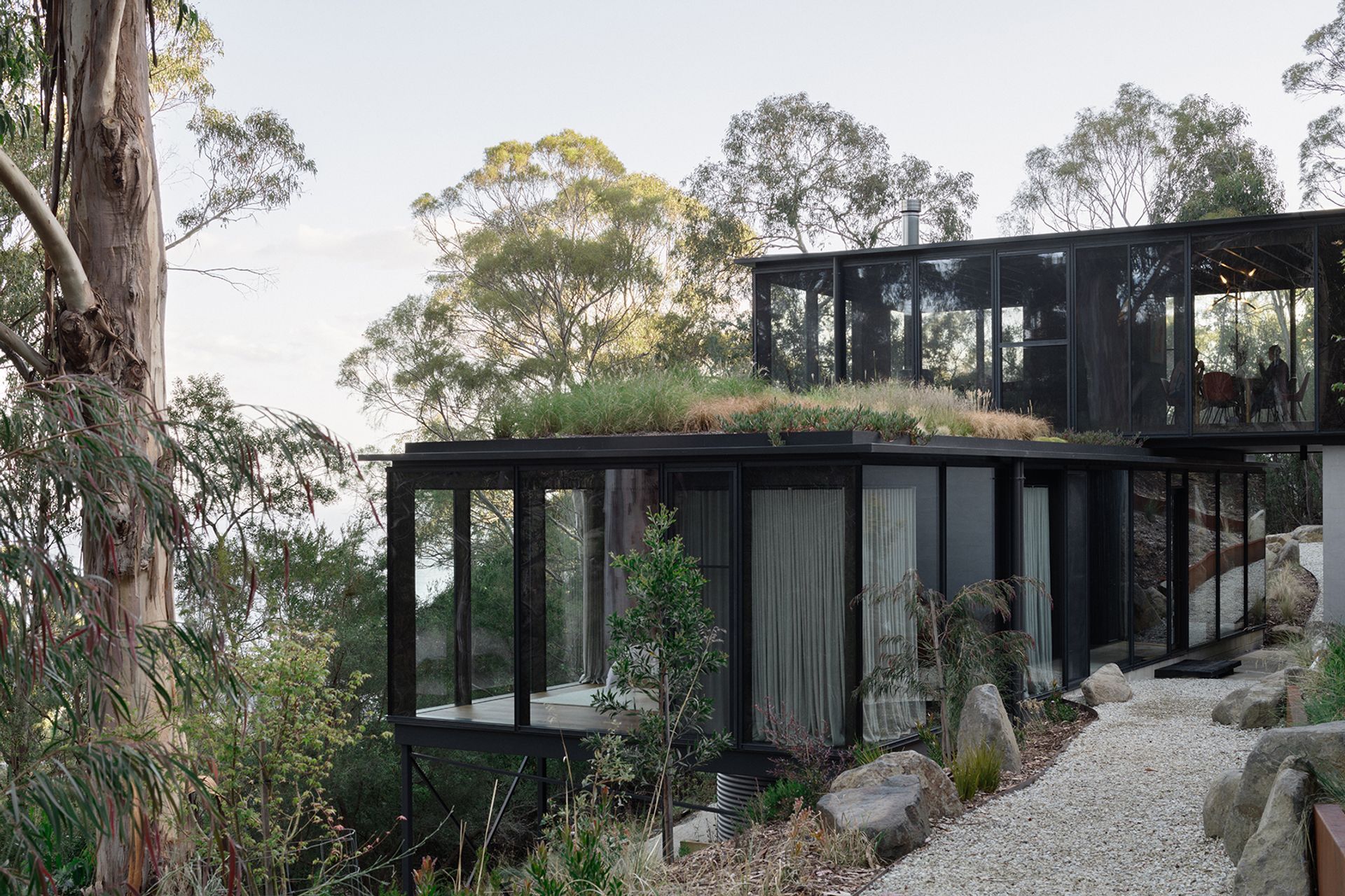 te2412ArchierTaroona020-v13.jpg
