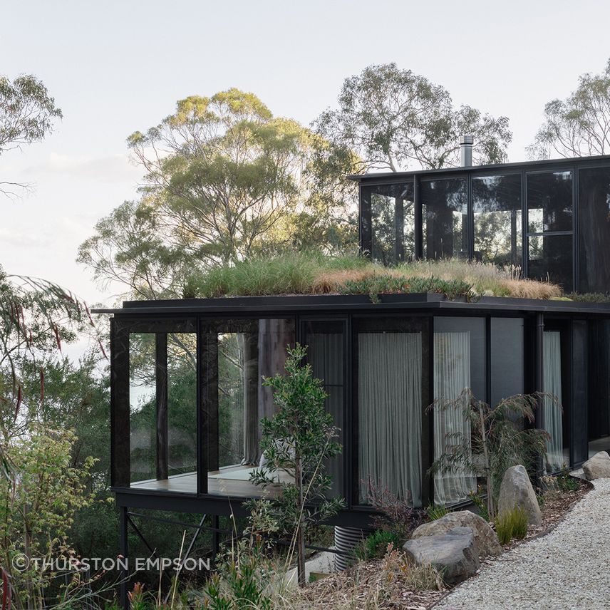 te2412ArchierTaroona020.jpg