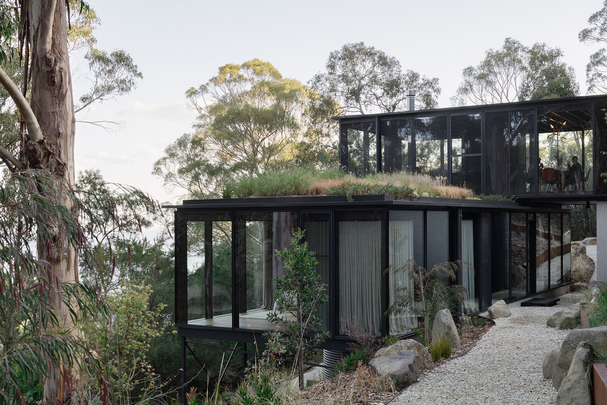 te2412ArchierTaroona020.jpg