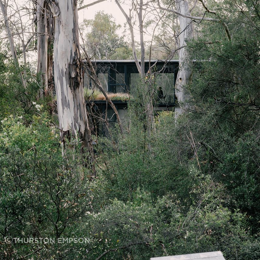 te2412ArchierTaroona027.jpg
