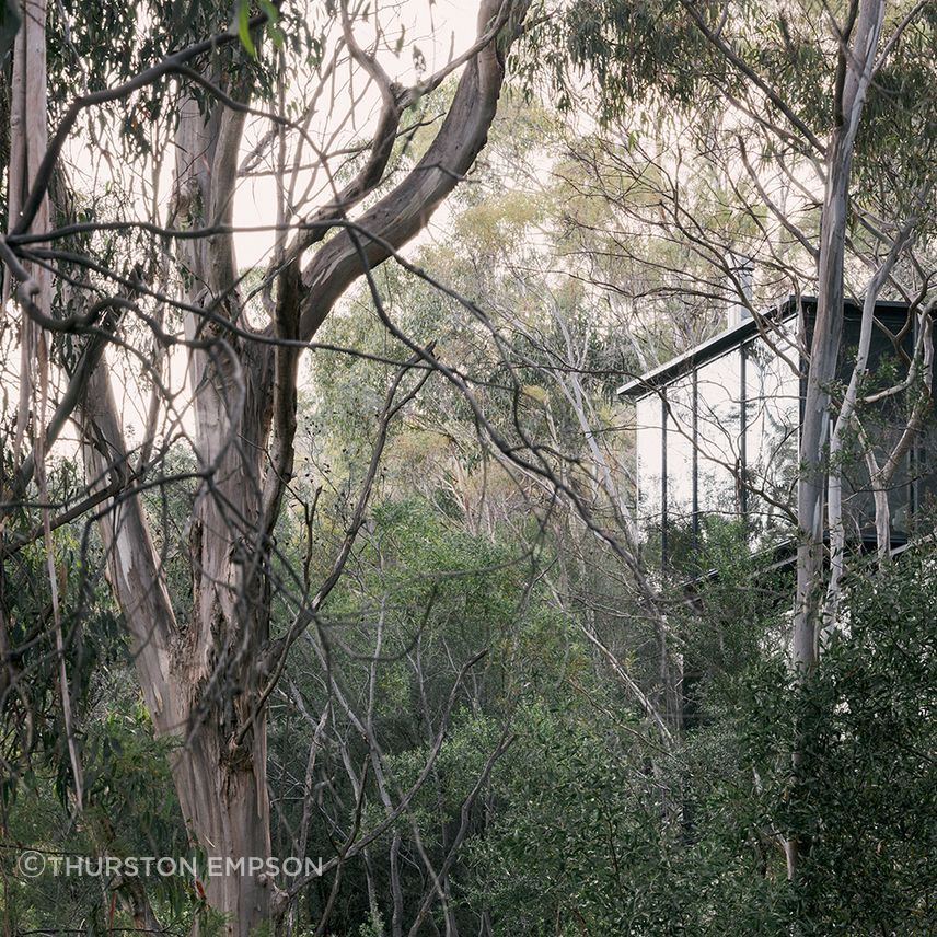 te2412ArchierTaroona028.jpg