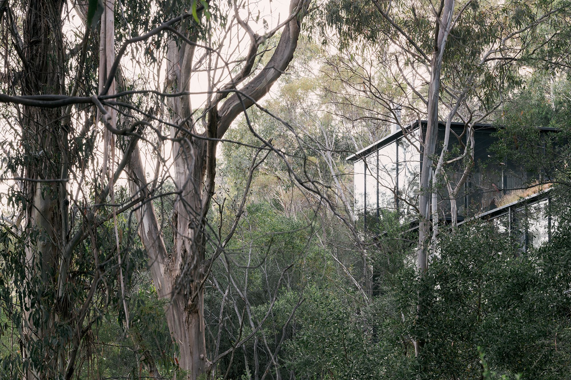te2412ArchierTaroona028.jpg