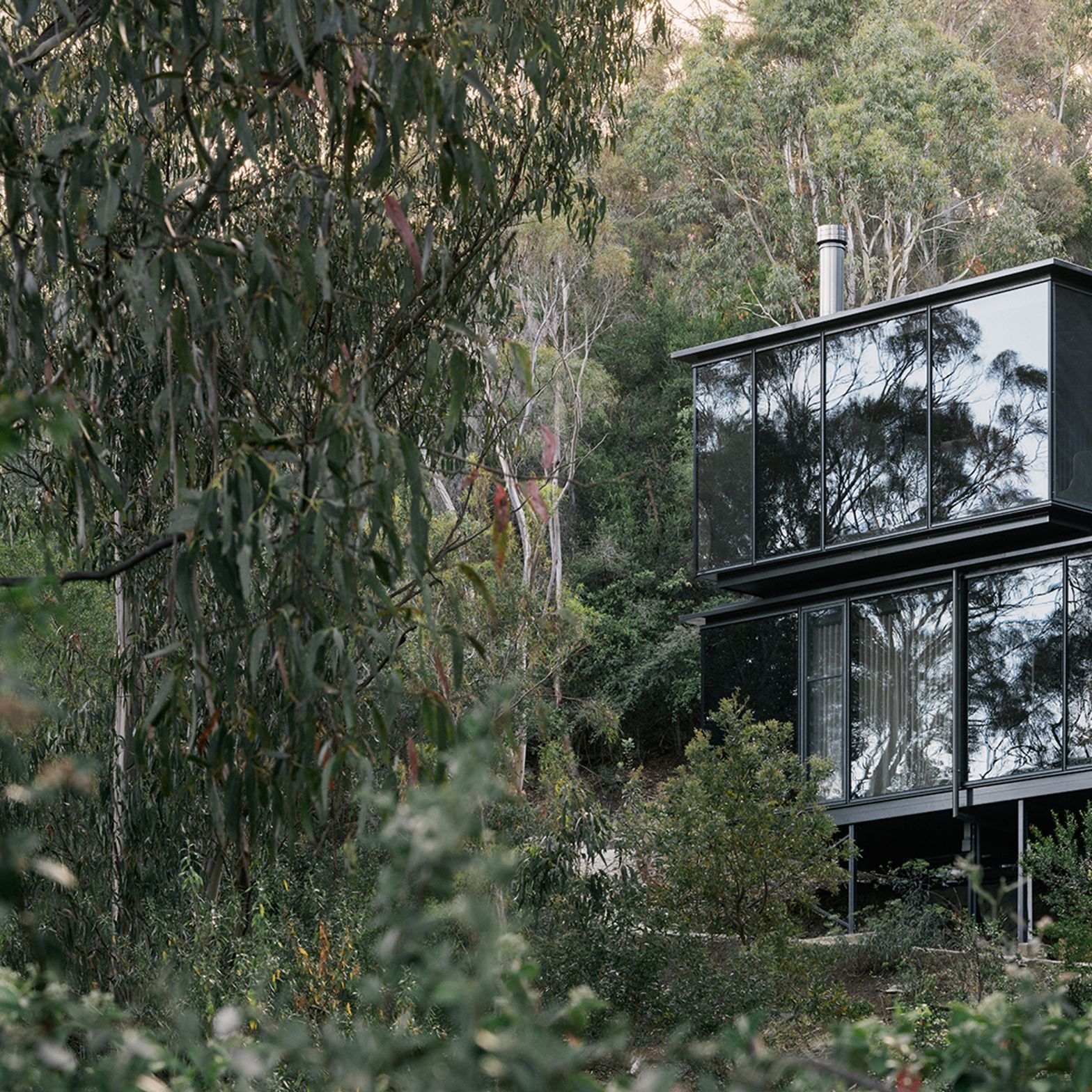 te2412ArchierTaroona029.jpg