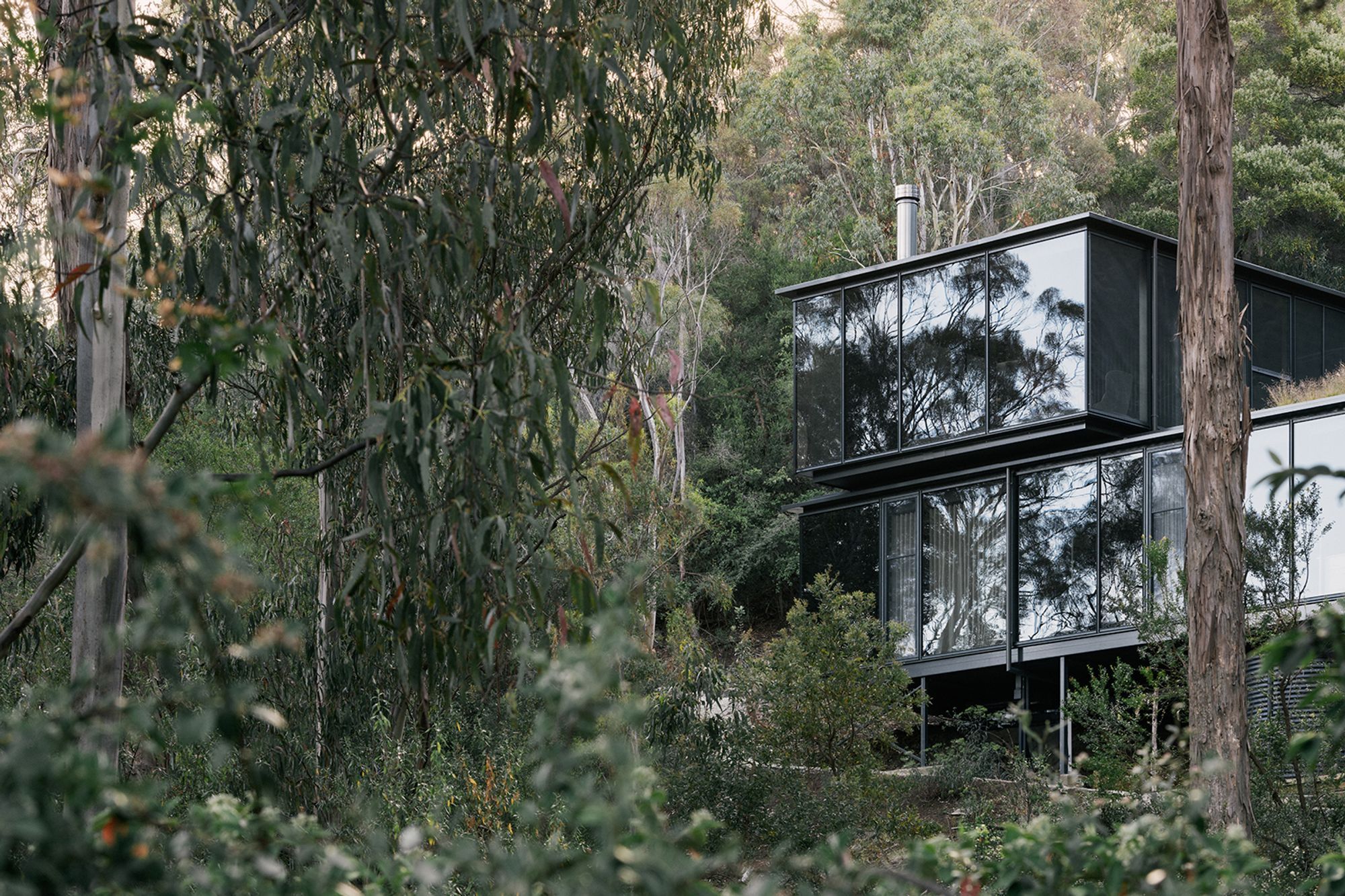 te2412ArchierTaroona029.jpg