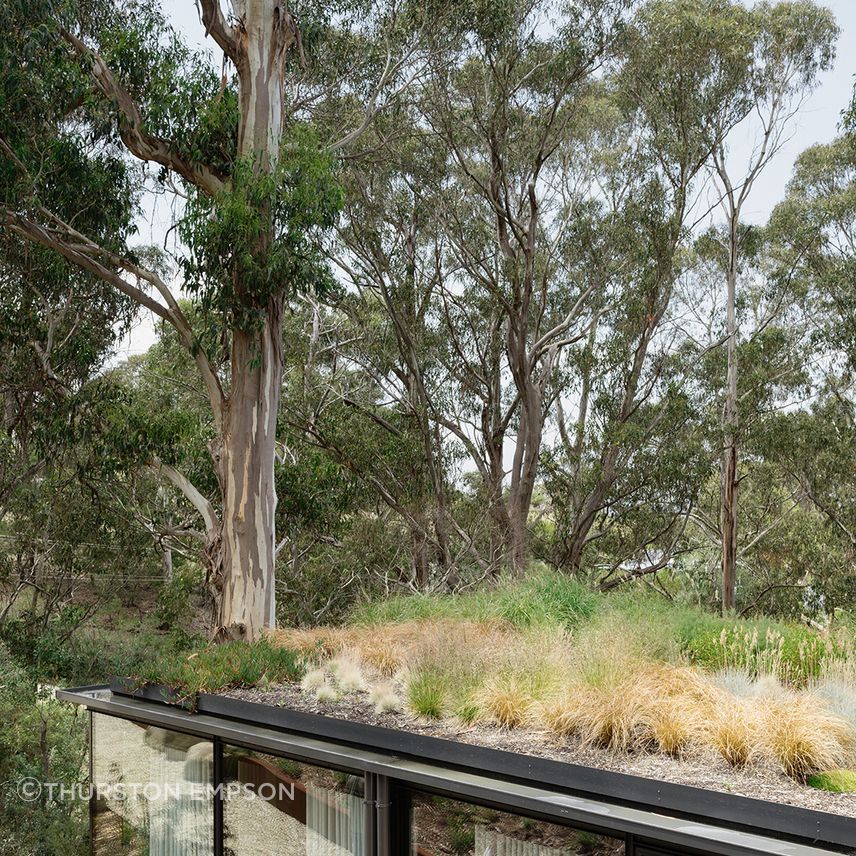 te2412ArchierTaroona035.jpg