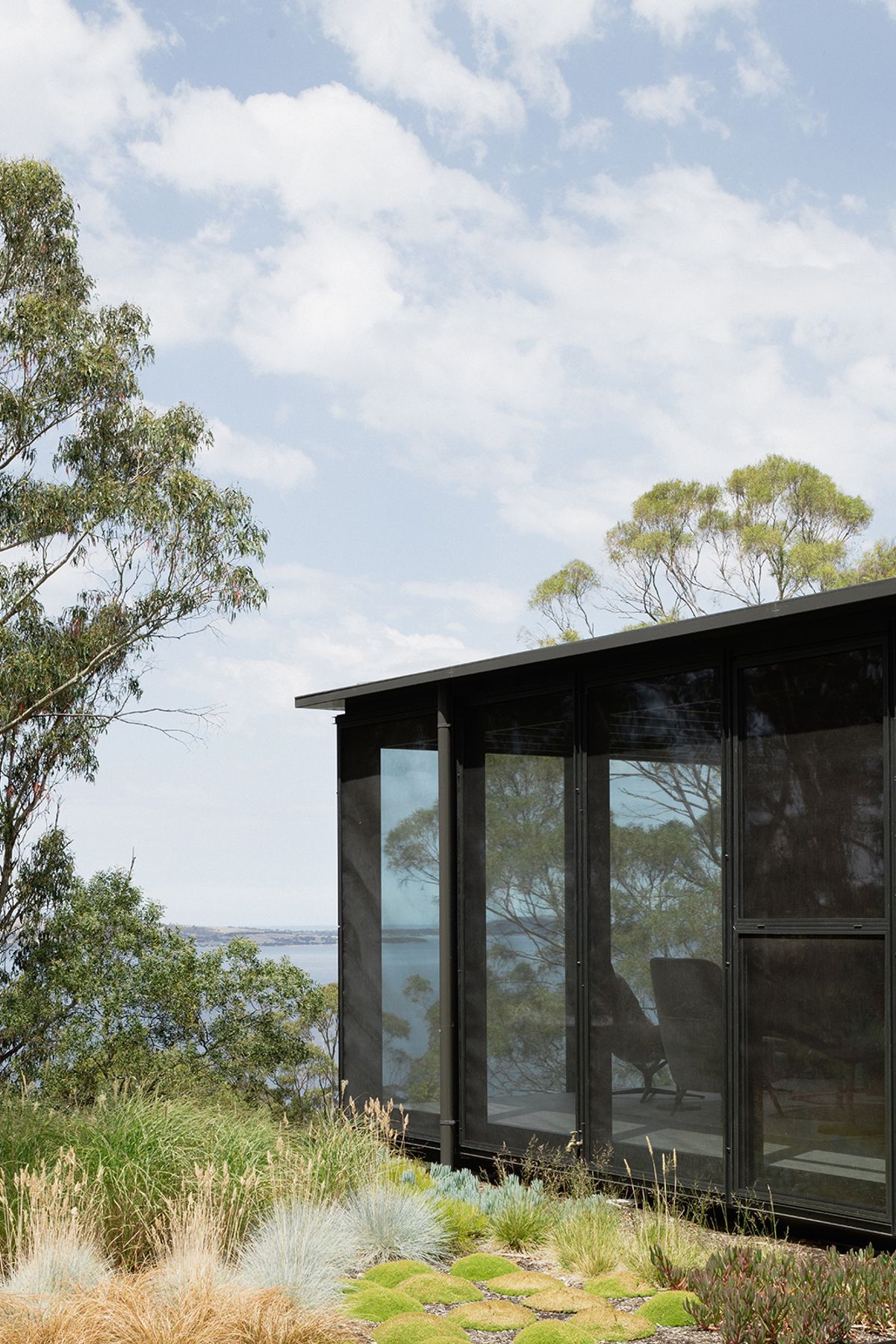 te2412ArchierTaroona038.jpg