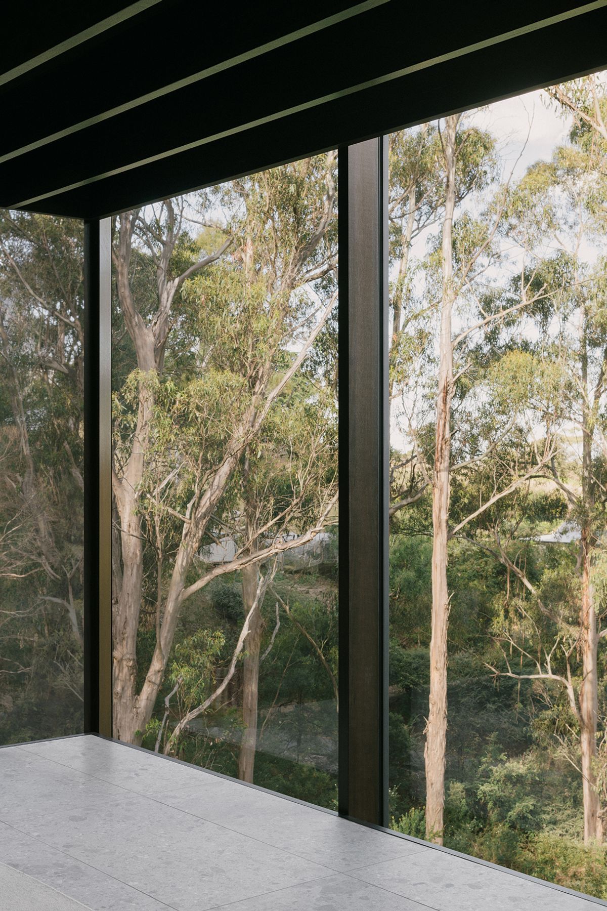 te2412ArchierTaroona045.jpg