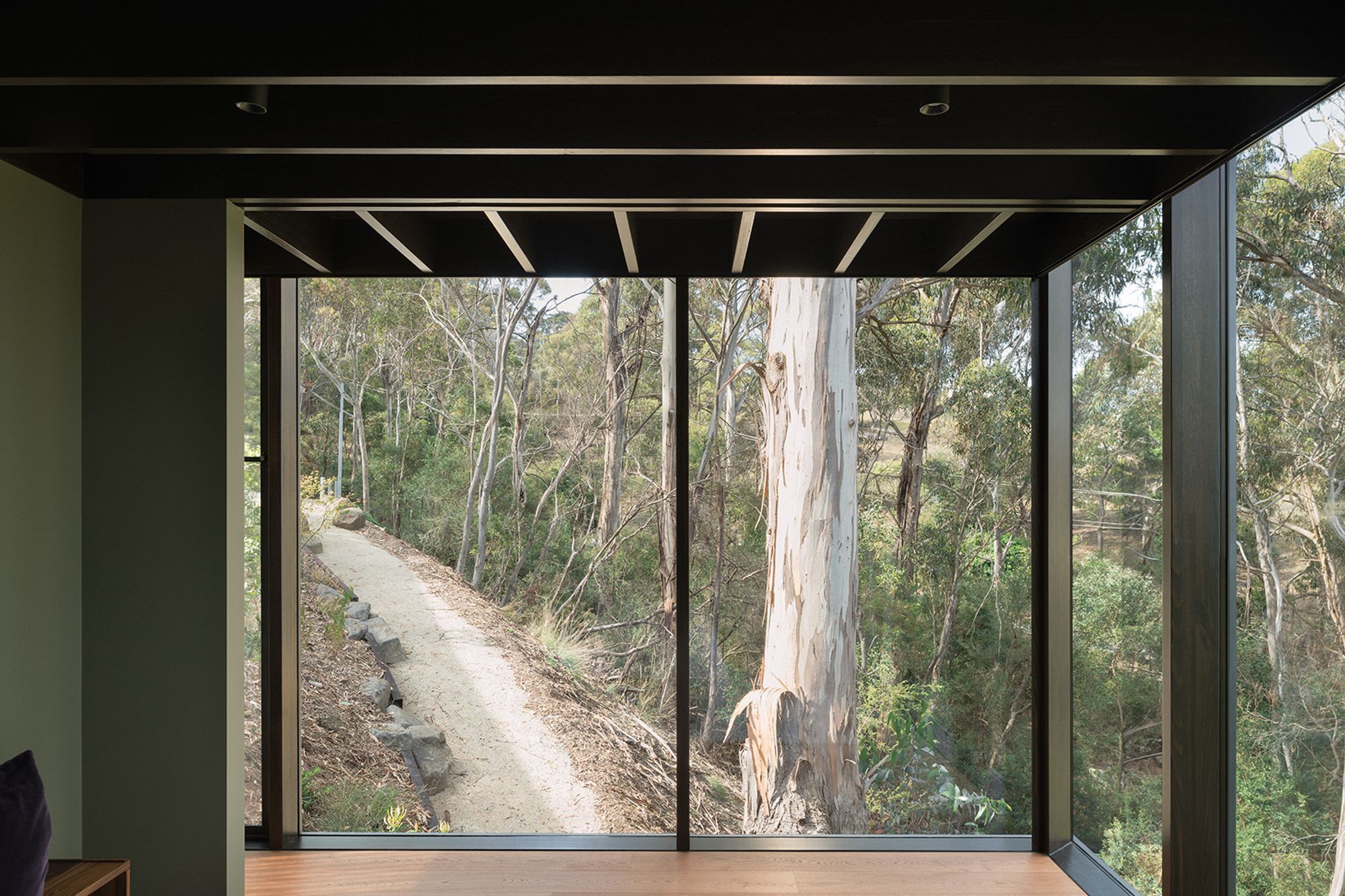 te2412ArchierTaroona086.jpg