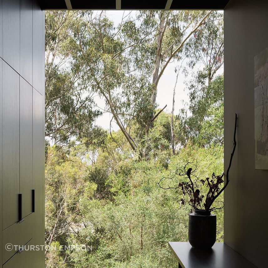te2412ArchierTaroona097.jpg