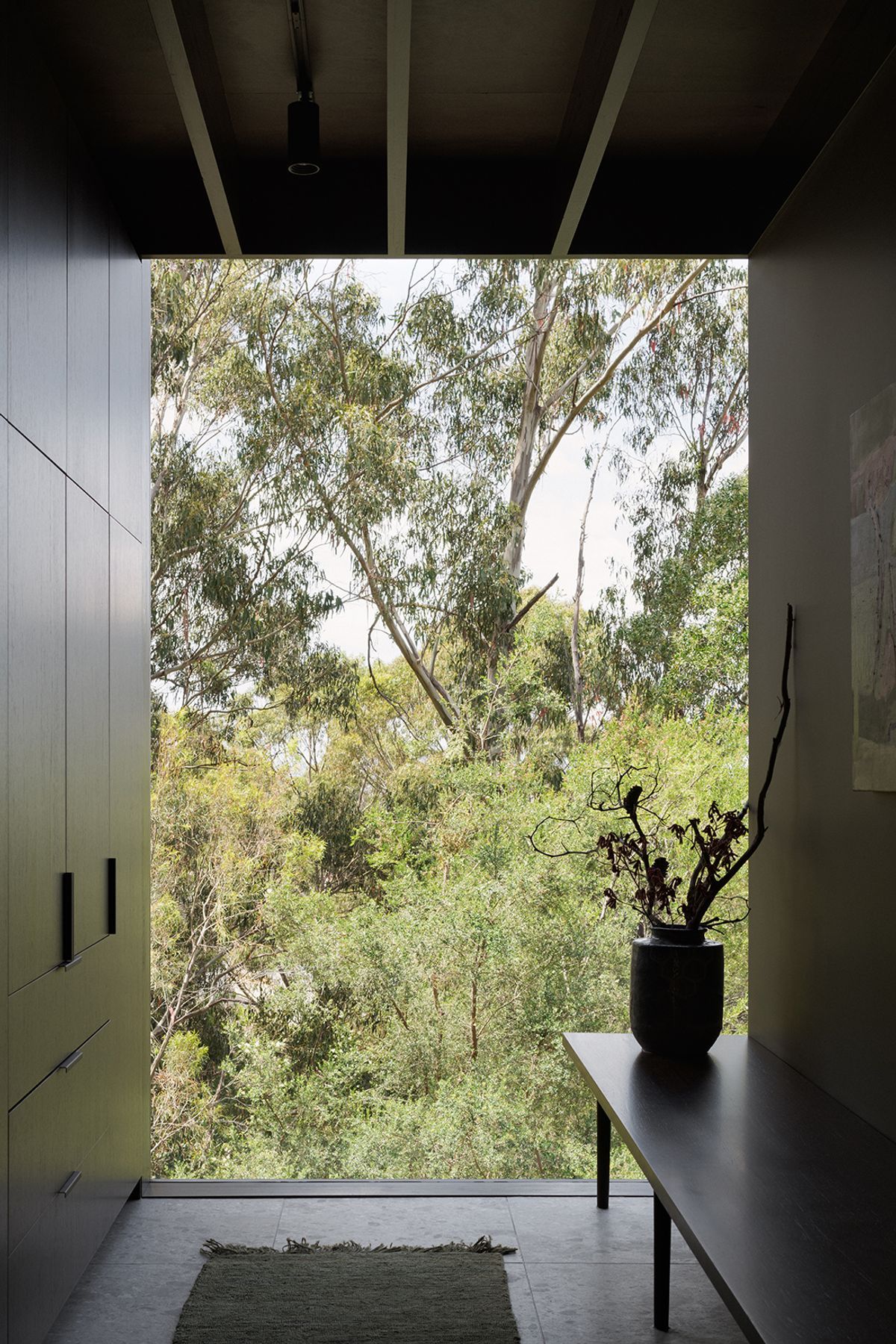 te2412ArchierTaroona097.jpg