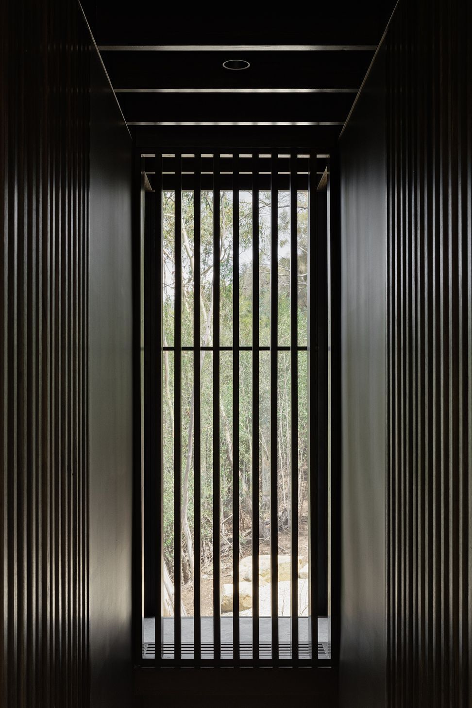 te2412ArchierTaroona103-v13.jpg