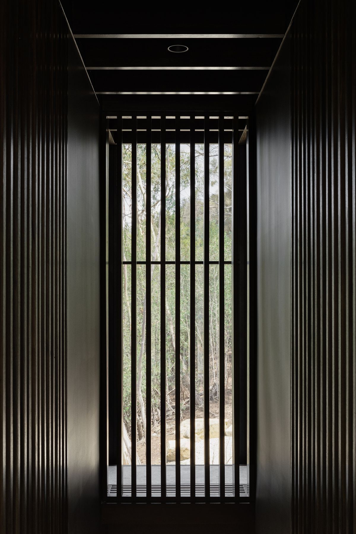 te2412ArchierTaroona103.jpg