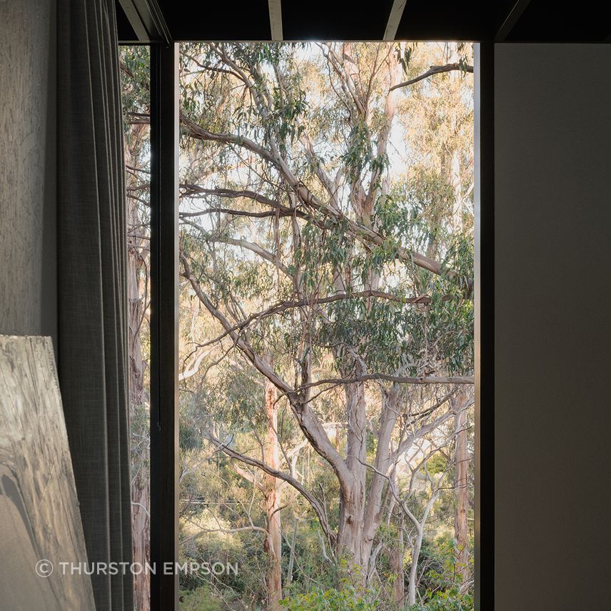te2412ArchierTaroona115.jpg