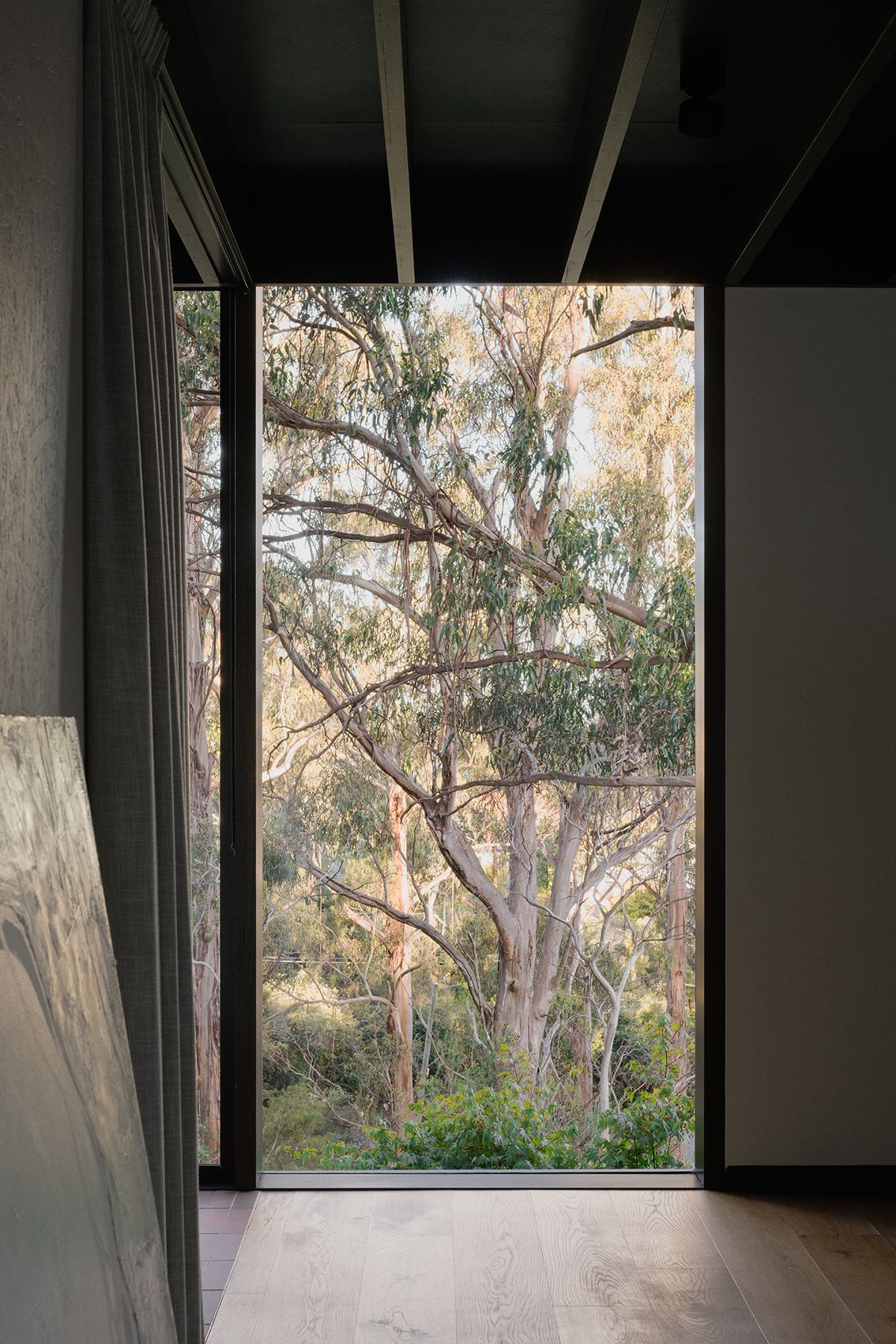 te2412ArchierTaroona115.jpg