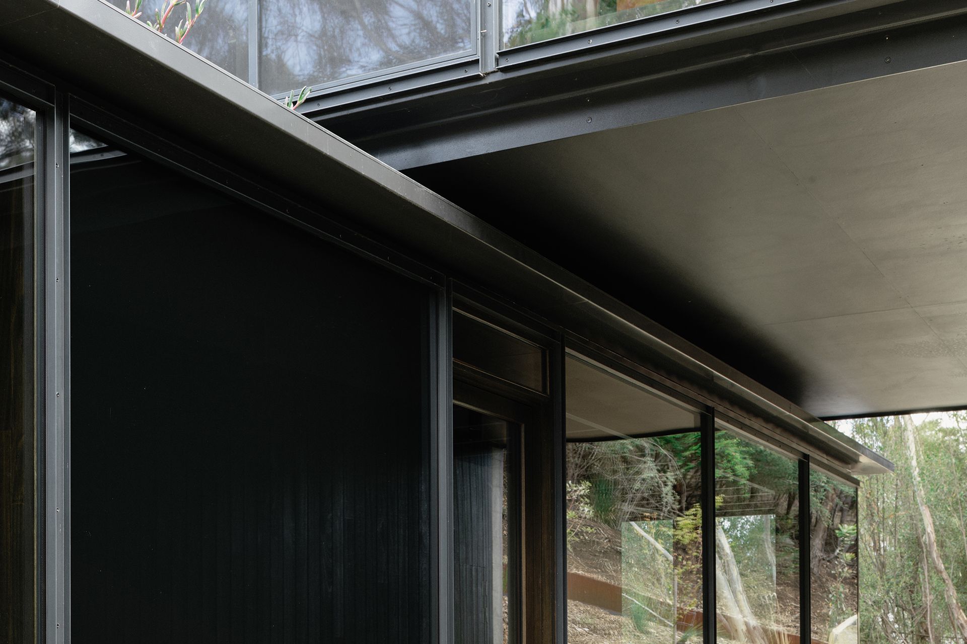 te2412ArchierTaroona127-v13.jpg