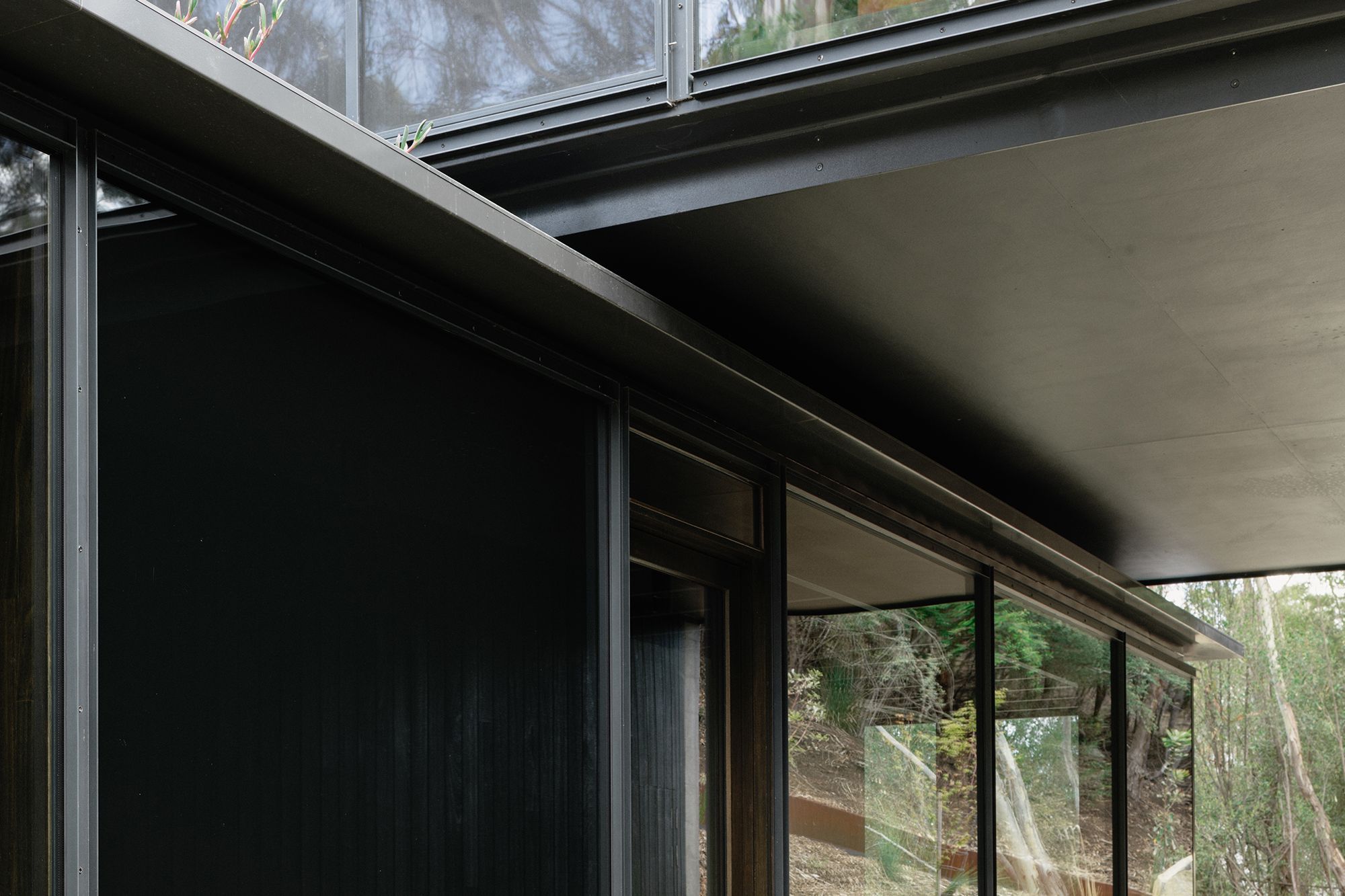 te2412ArchierTaroona127.jpg