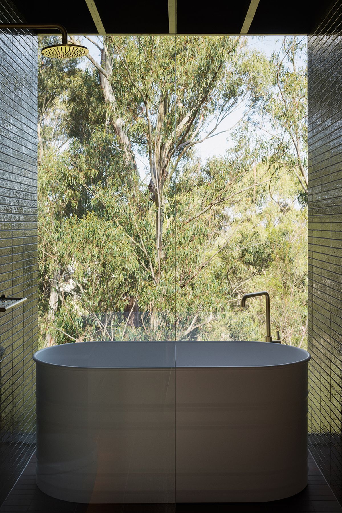 te2412ArchierTaroona133.jpg