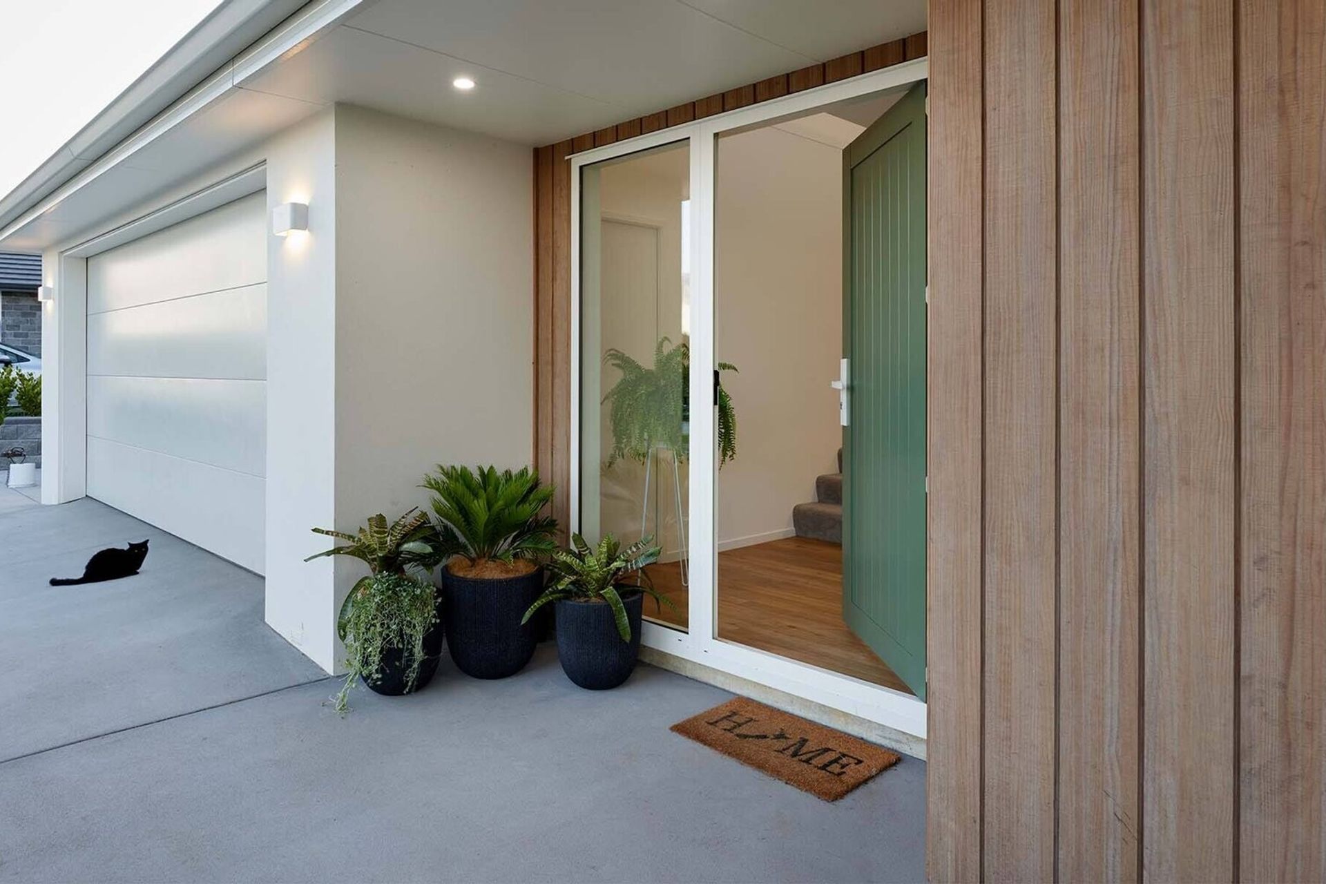 Front Entry and the Cat