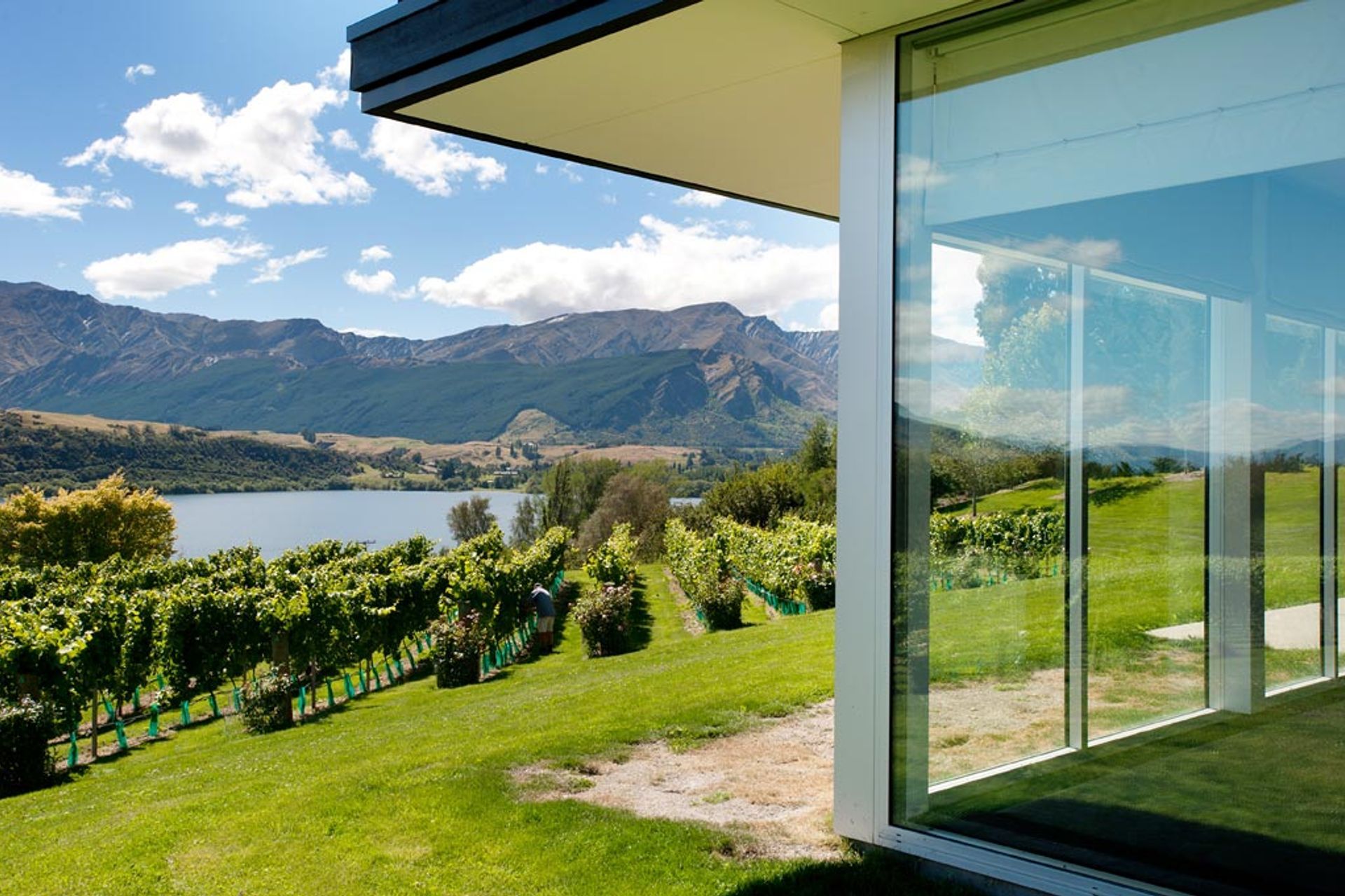 Vineyard Home, Queenstown