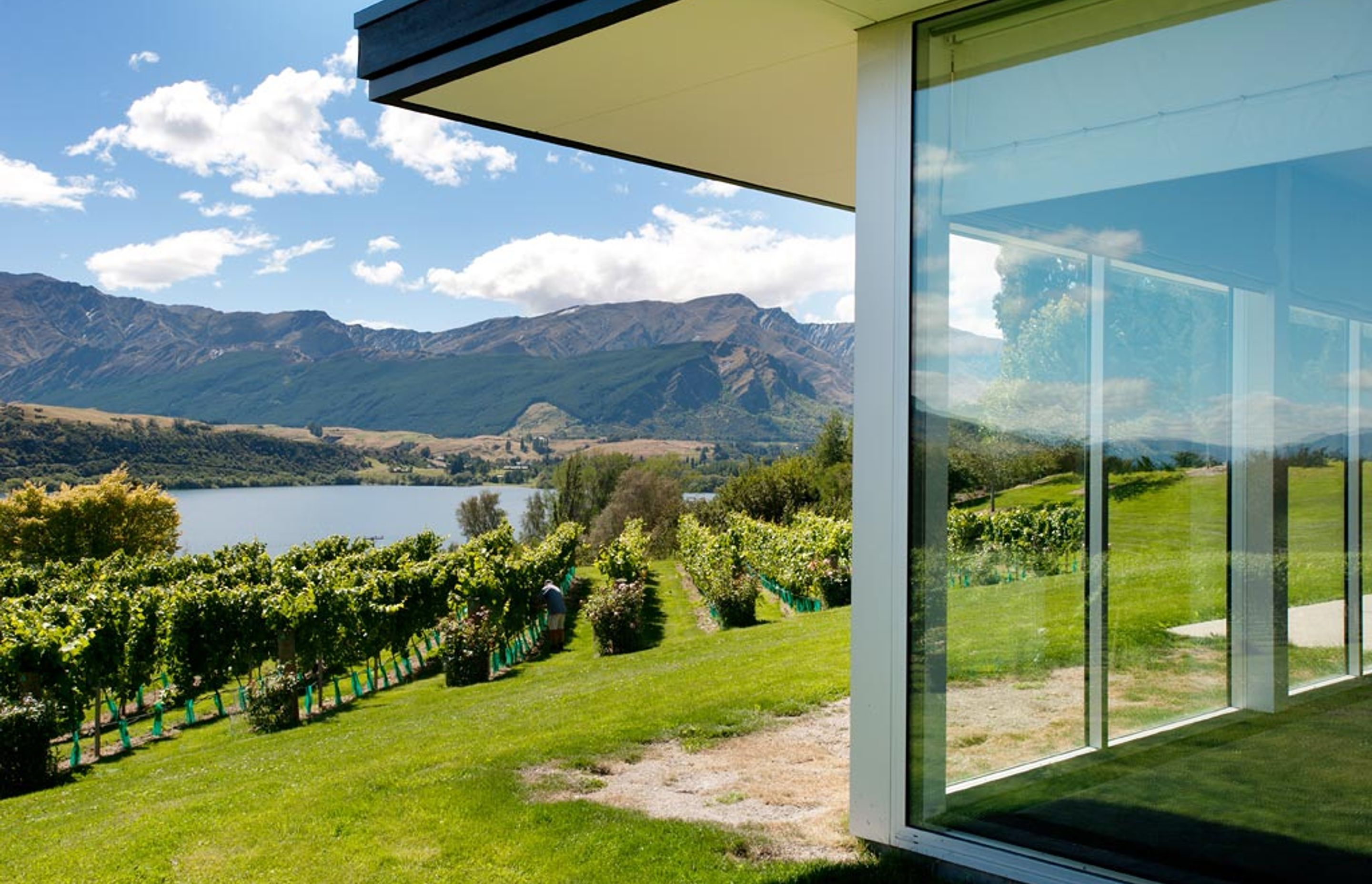 Vineyard Home, Queenstown