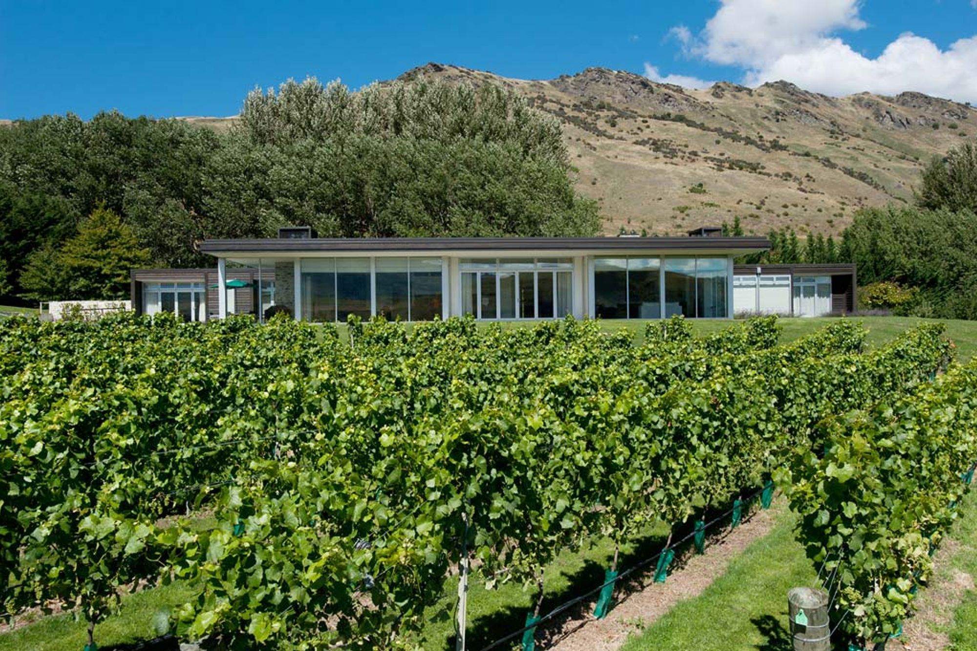 Vineyard Home, Queenstown