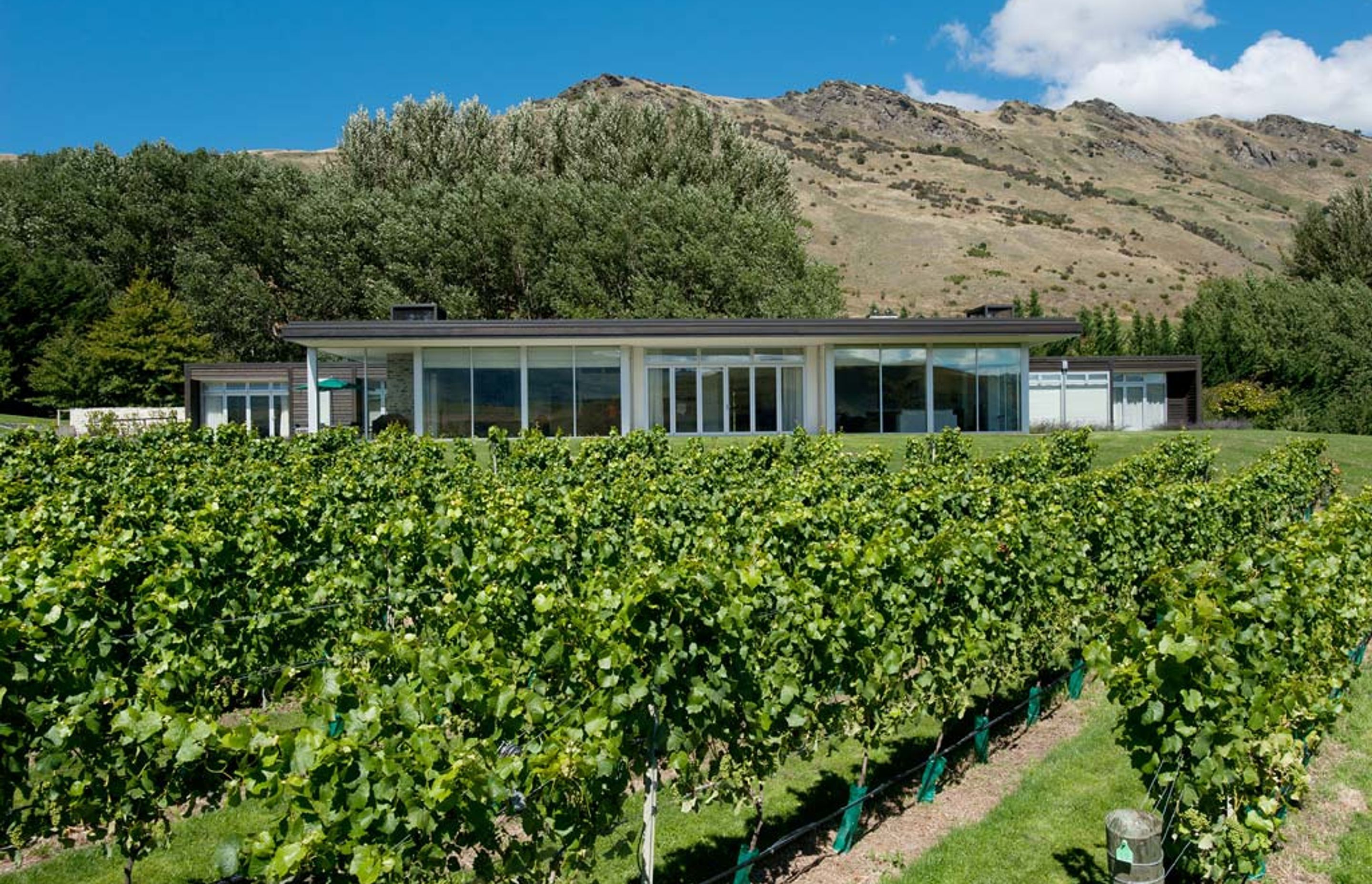 Vineyard Home, Queenstown