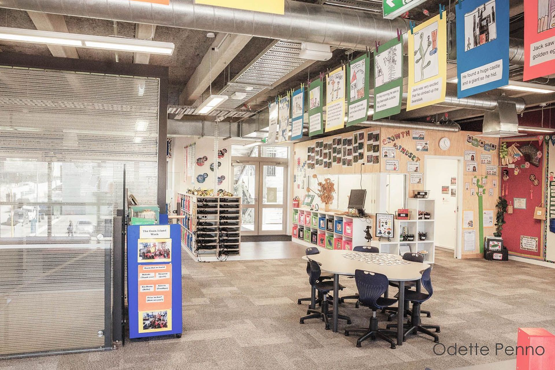 Newmarket Primary - Newmarket