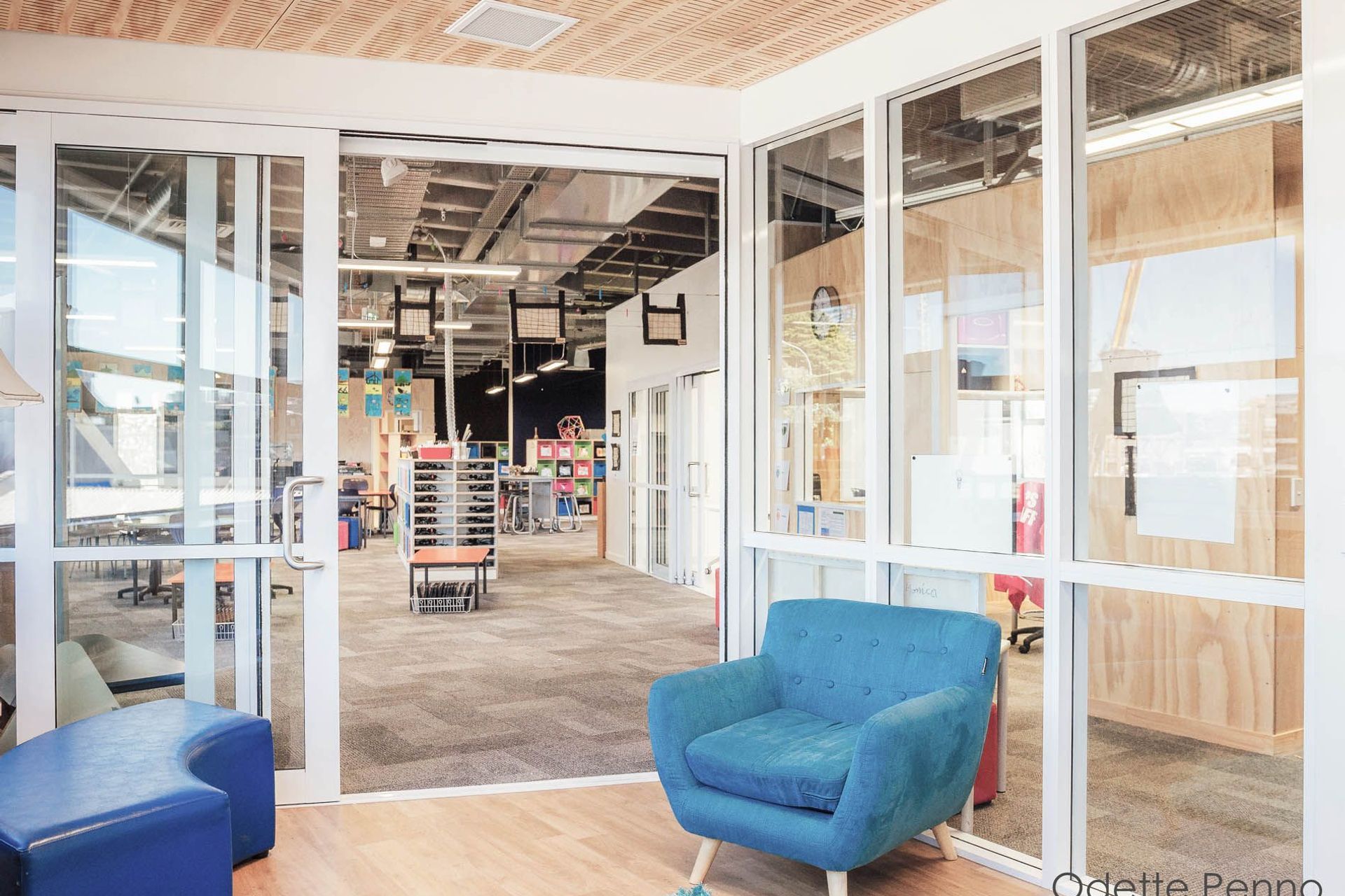 Newmarket Primary - Newmarket