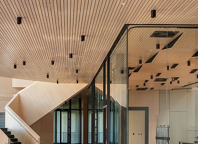 Toi Manawa Kīngi Kāreti, King’s College’s Performing Arts Centre