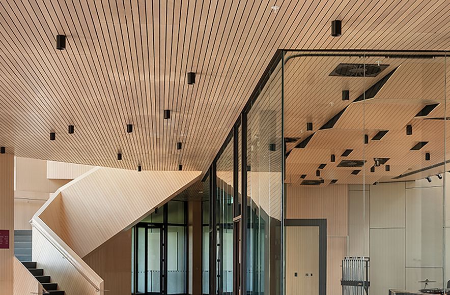 Toi Manawa Kīngi Kāreti, King’s College’s Performing Arts Centre