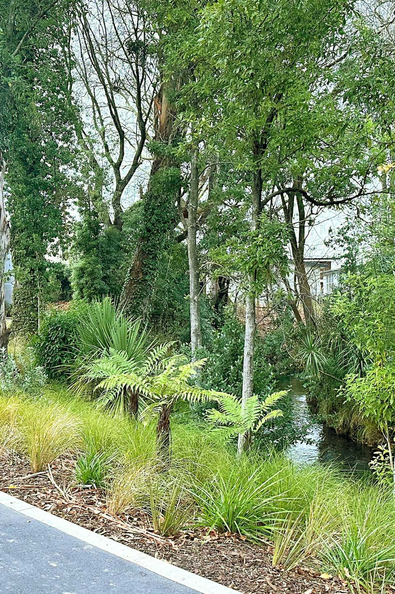 BotanicLandscape-ArchitectsChch-BoysHigh-7-adjust.jpg