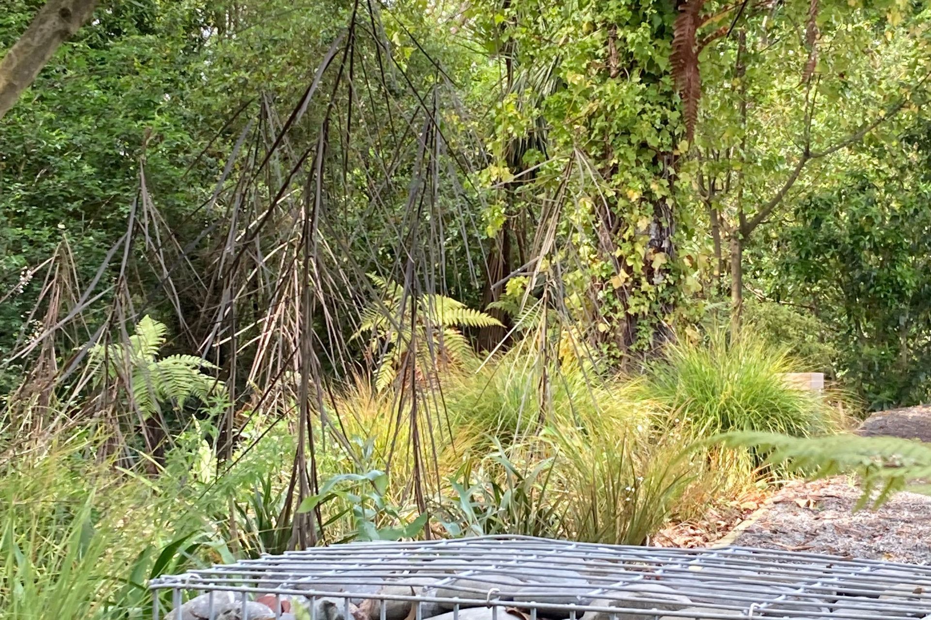 Christchurch Boys High School