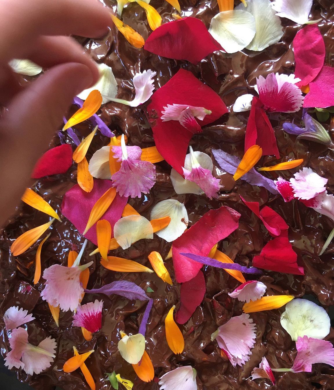 Edible Flower Cake
