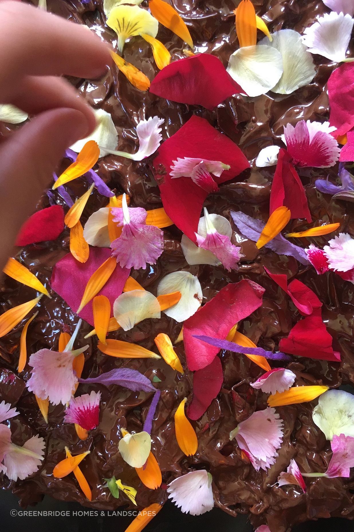 Edible Flower Cake