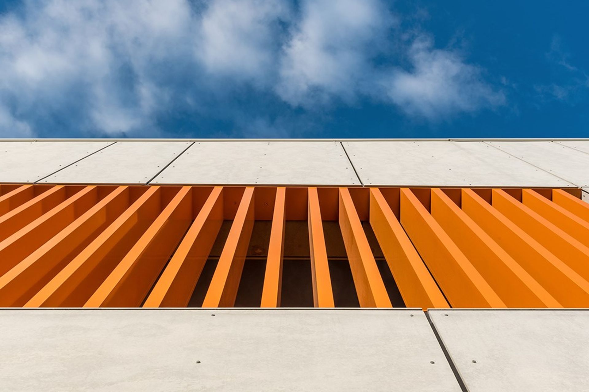 All Hallows Catholic Primary School