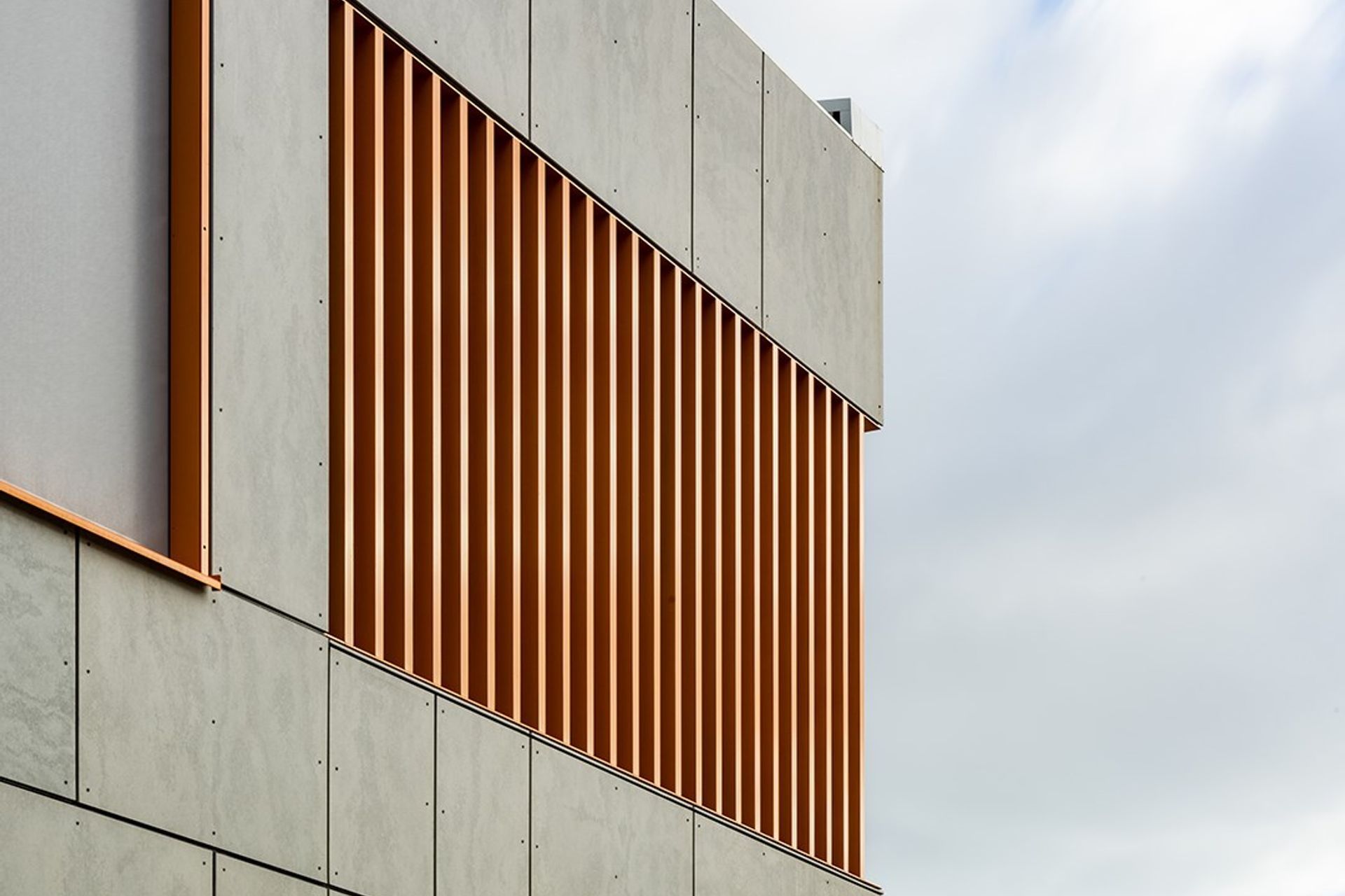 All Hallows Catholic Primary School