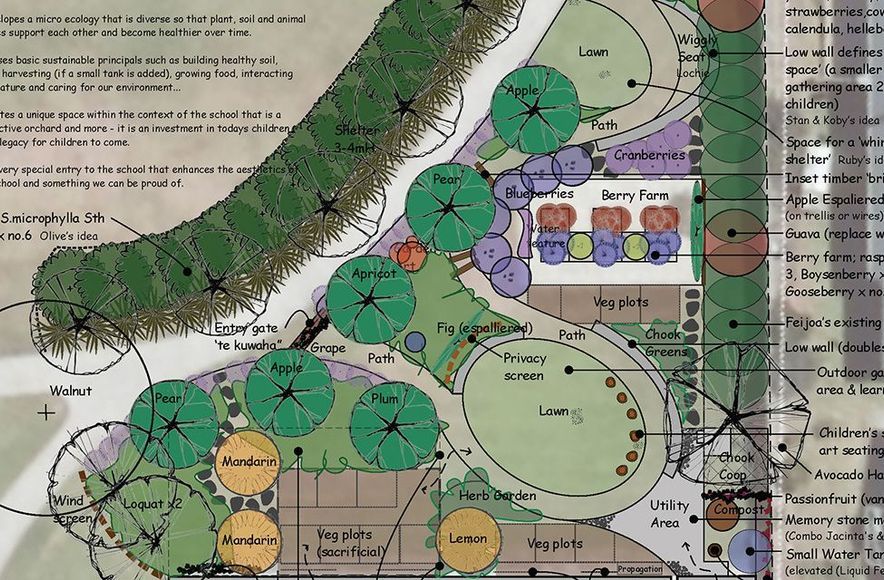 Community Project - OMATA SCHOOL ORCHARD