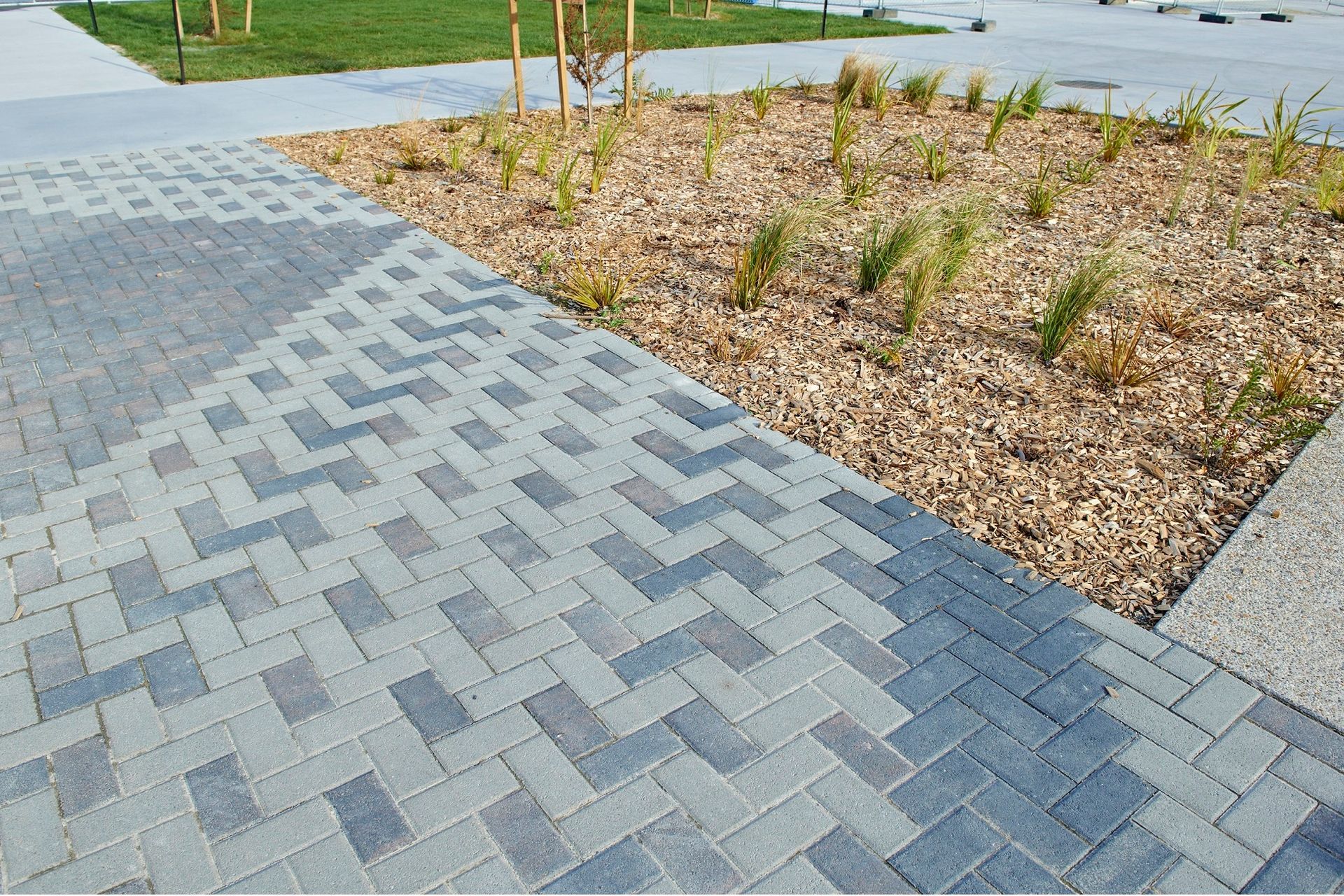 Firth’s credentials ensure Rototuna school attains 5 Greenstar points