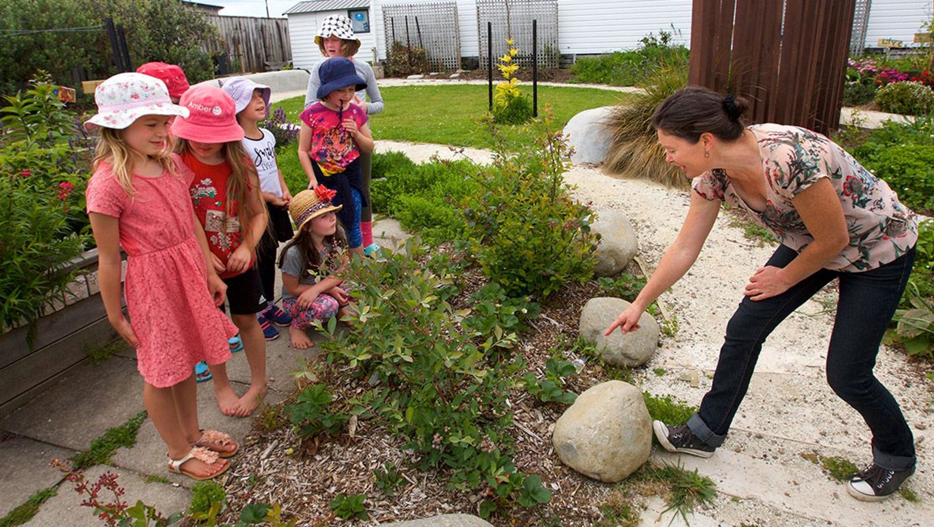Omata School Orchard