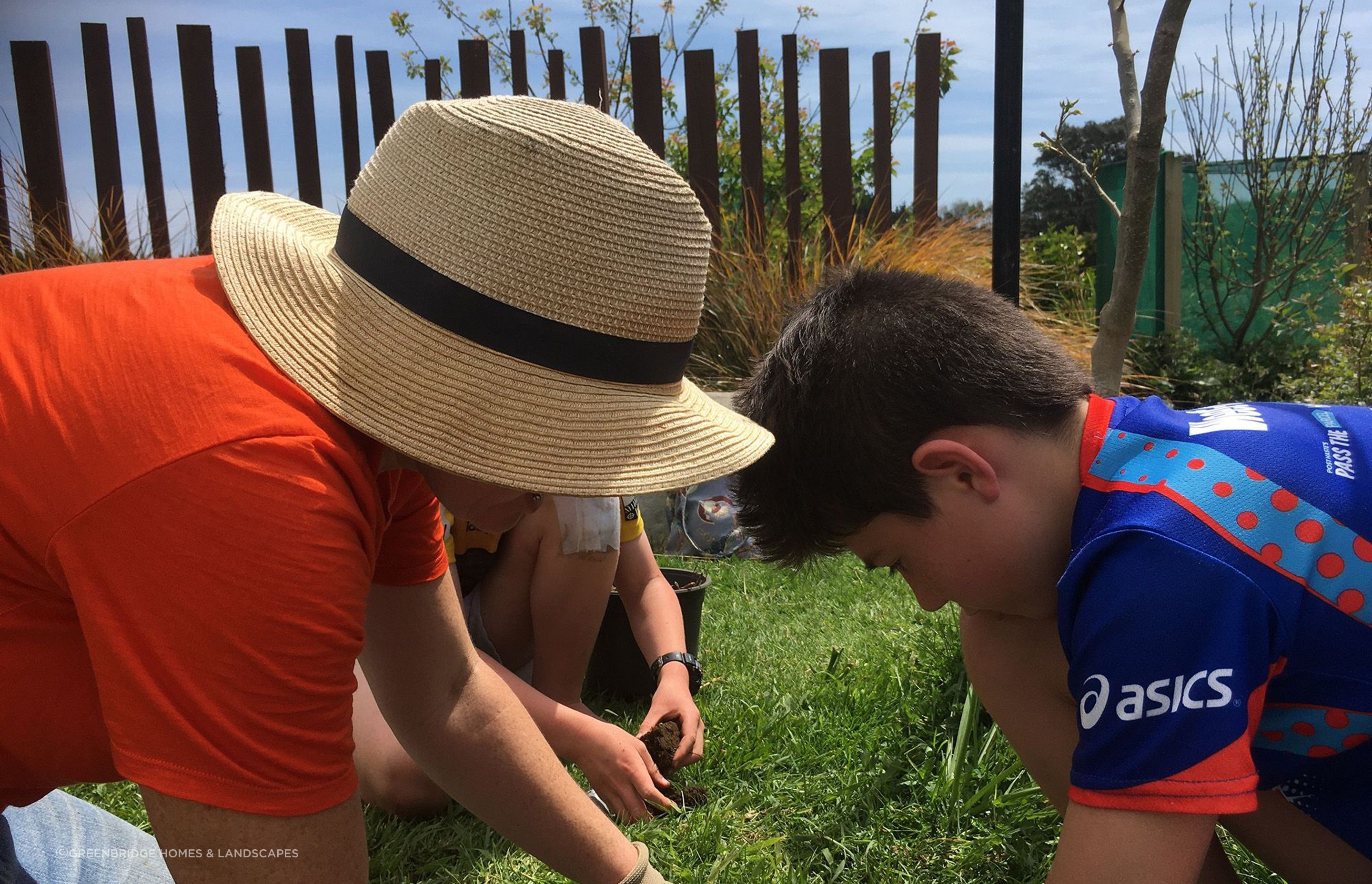 Soil Assessment