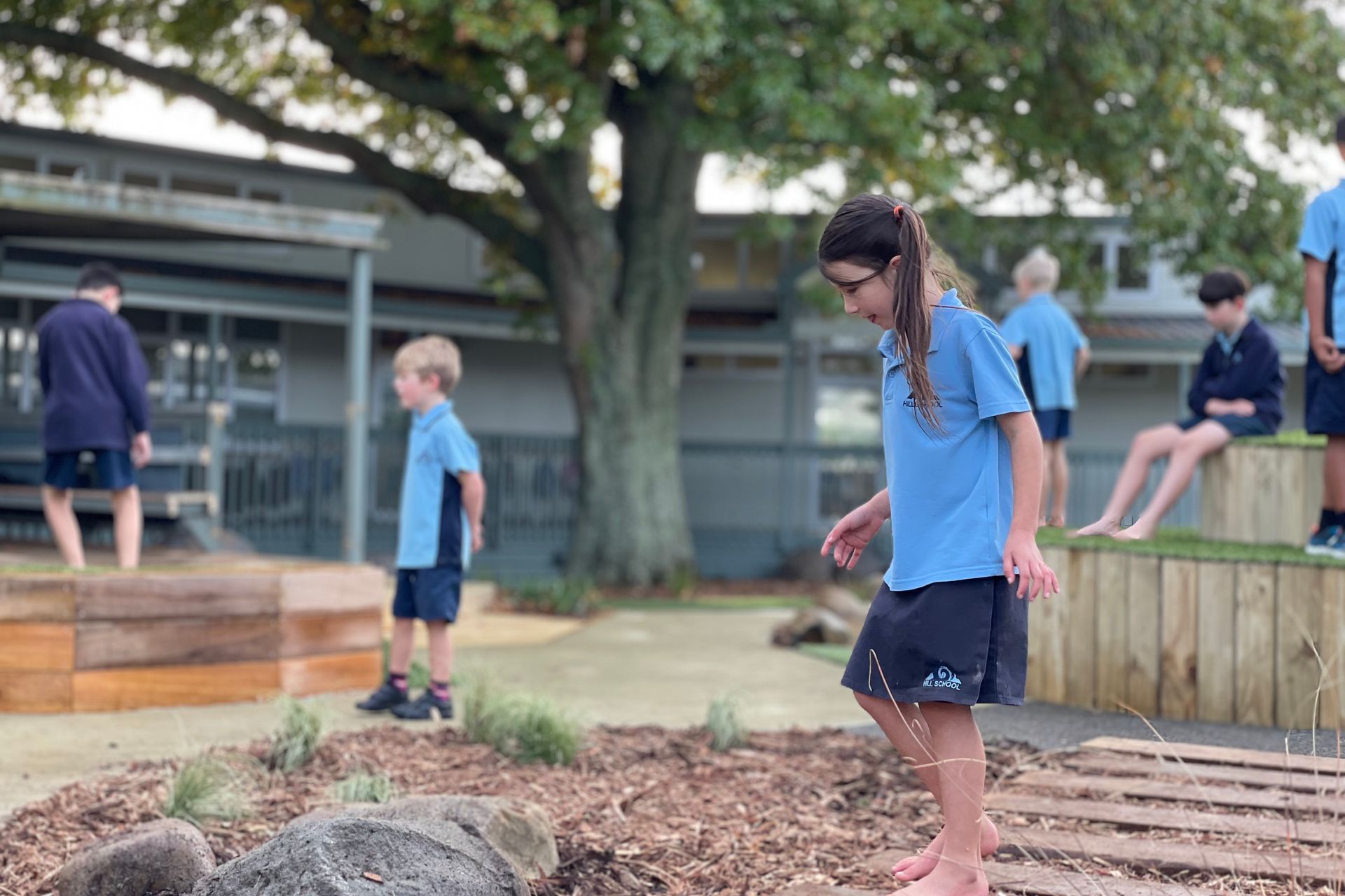 Pukekohe Hill School - Outdoor Learning Environment
