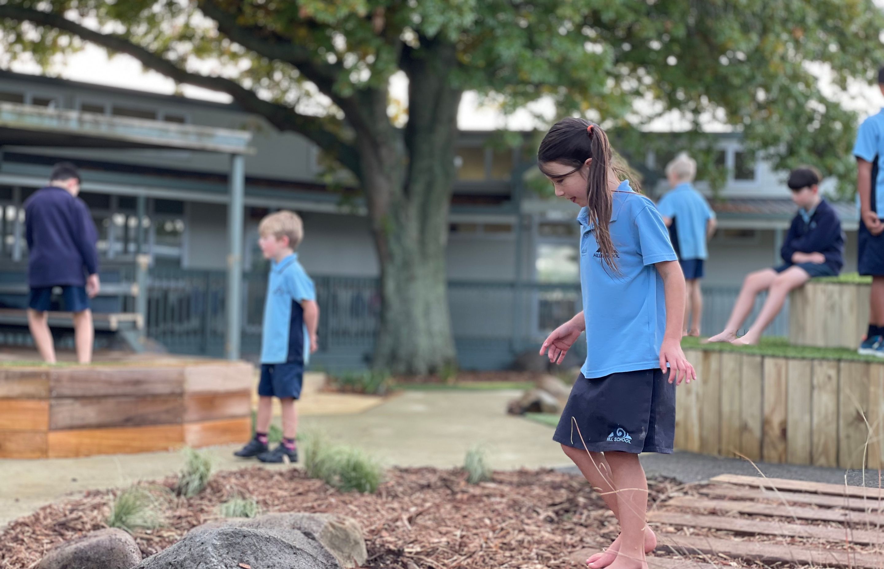 Pukekohe Hill School - Outdoor Learning Environment