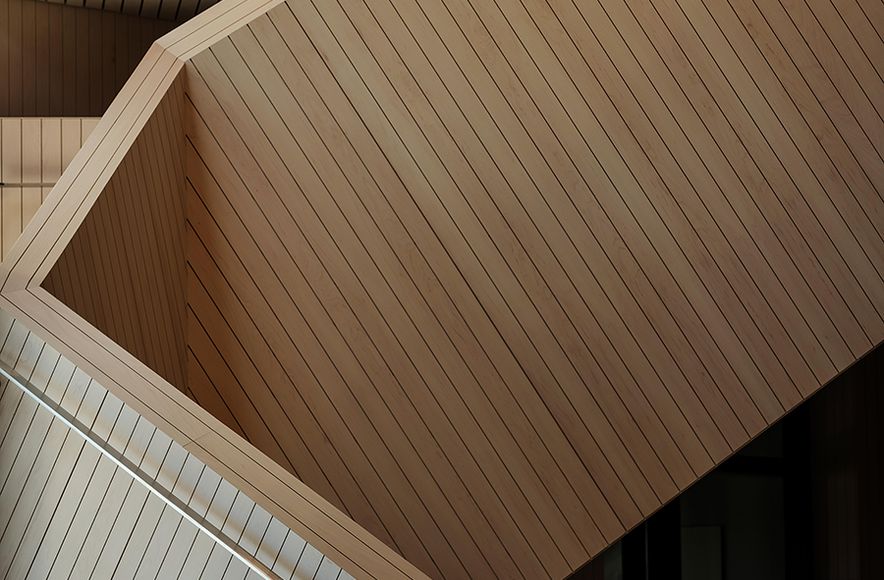 Toi Manawa Kīngi Kāreti, King’s College’s Performing Arts Centre