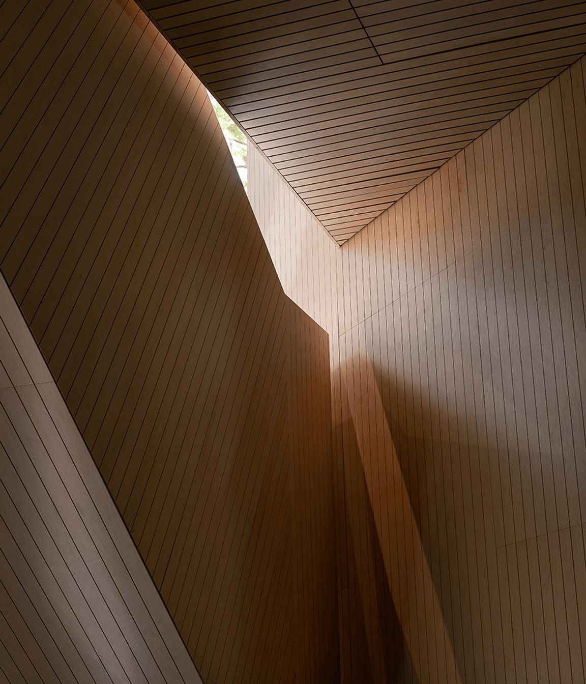 Image-2.png