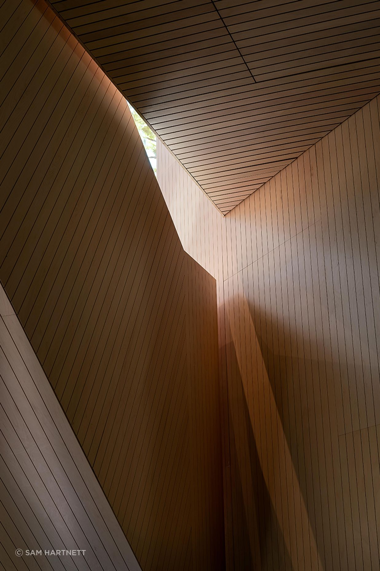 Image-2.png