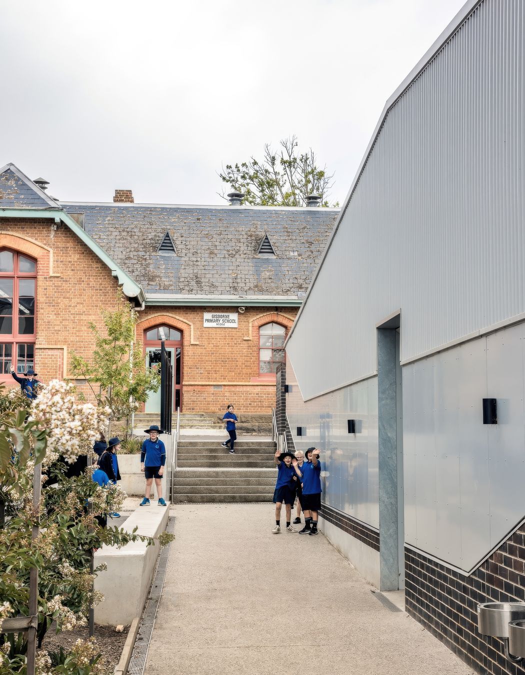 MaddisonGisborn-Primary-SchoolWWP-Selected-4-gigapixel-standard-v2-2x-v2.jpeg