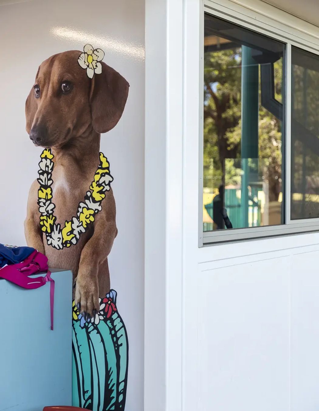 Photography: Tom Ferguson