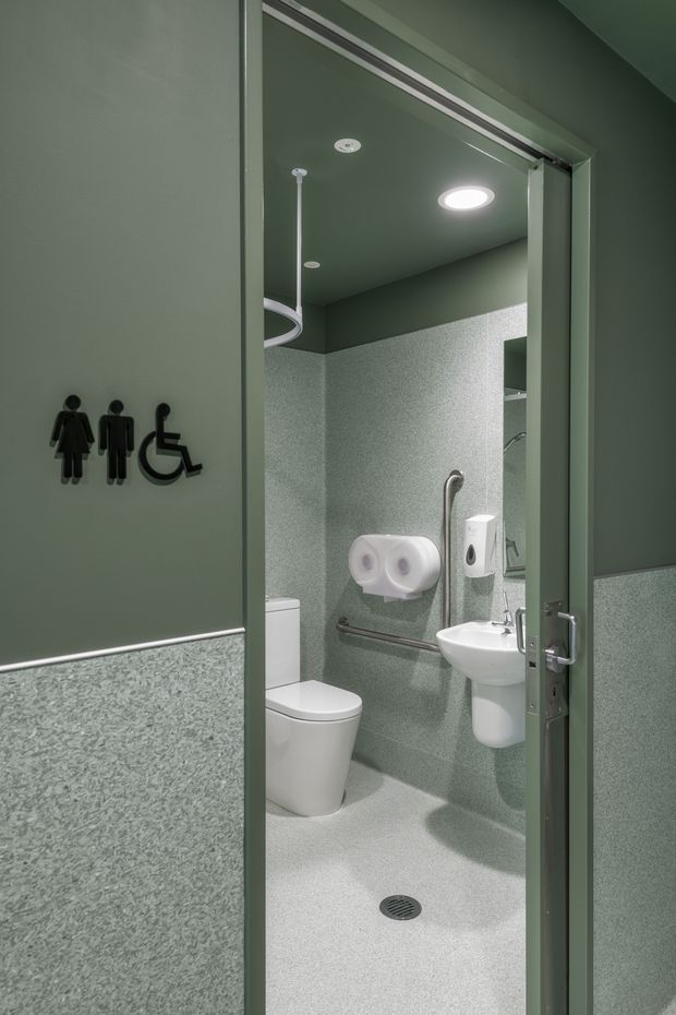 Accessible public bathroom viewed through an open green door, with toilet, wall-mounted sink, grab rails, accessible signage, mirror, soap dispenser and dual toilet-roll holder. The room uses dark green painted upper walls and ceiling with speckled green-grey wall and floor finishes, bright recessed lighting, and a clean utilitarian fit-out.