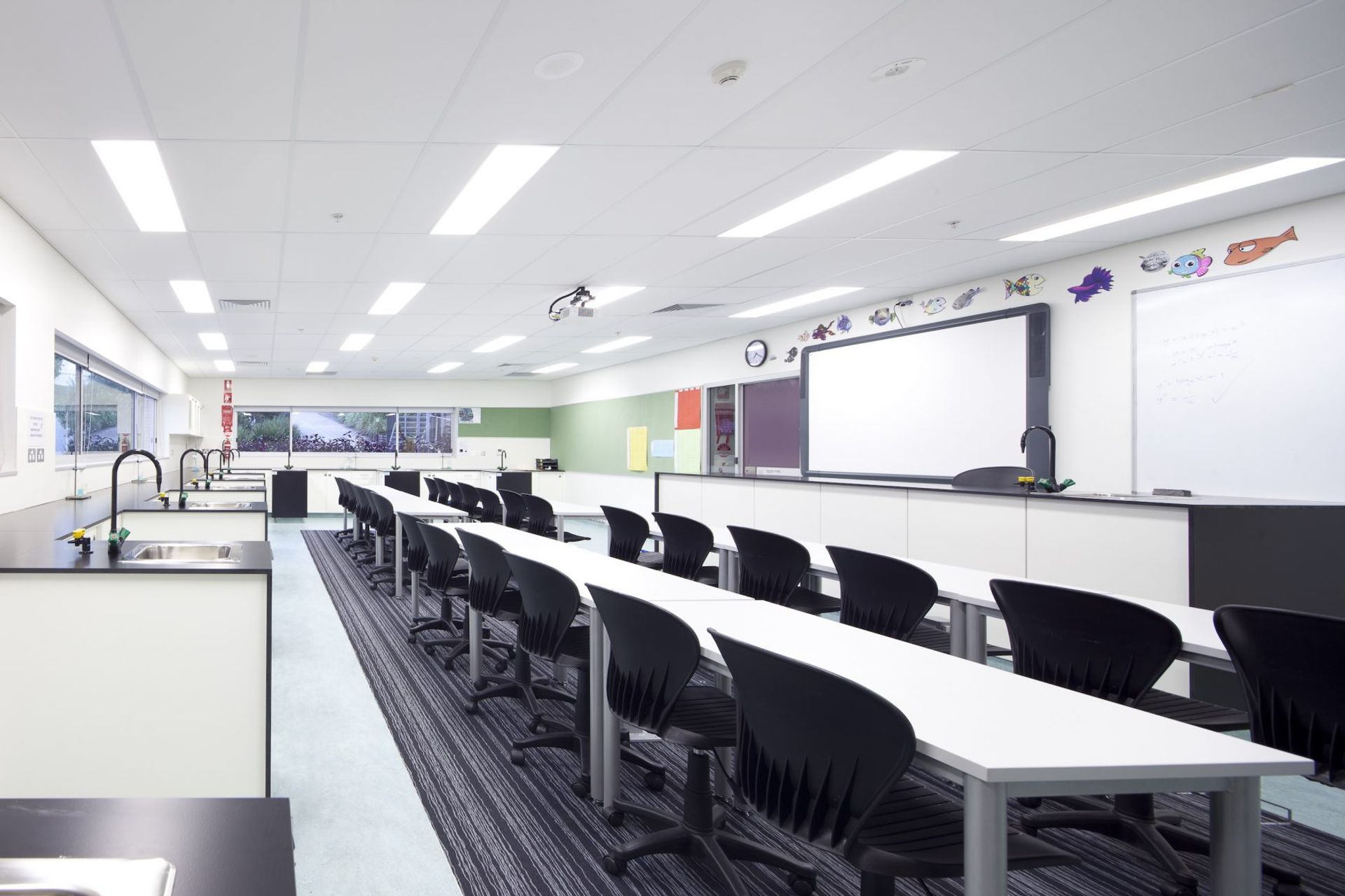 ##Emanuel School (LINC and Life Science)