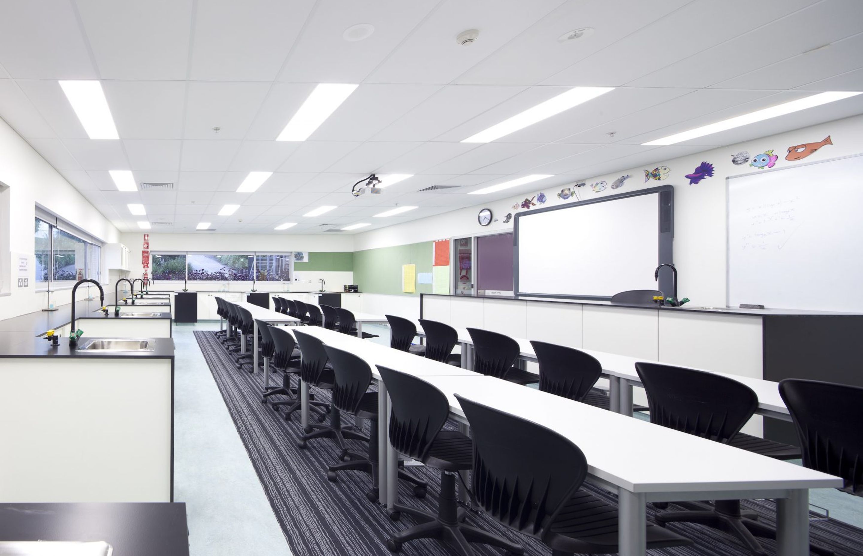 ##Emanuel School (LINC and Life Science)